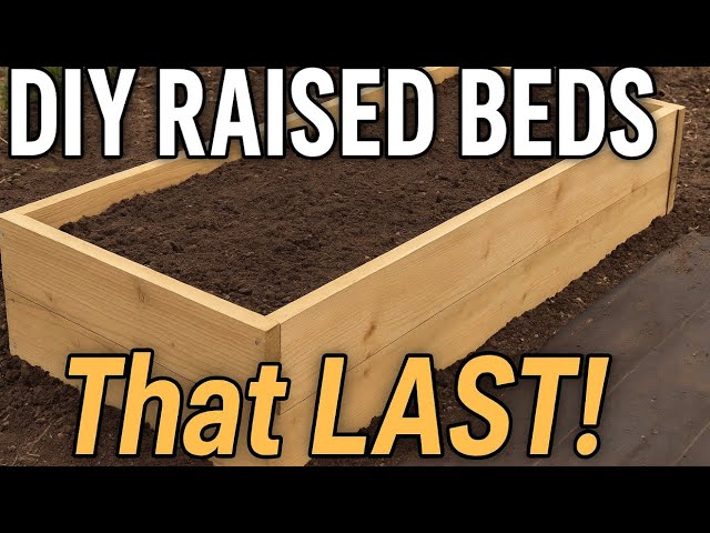 Video thumbnail for 🎥 ✅ How to Build DIY Allotment Beds | Affordable & Long-Lasting Garden Upgrade