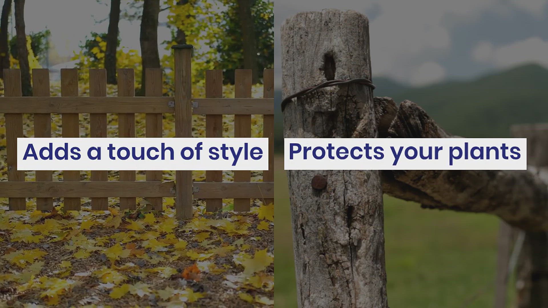 'Video thumbnail for Vegetable Garden Fence Ideas'