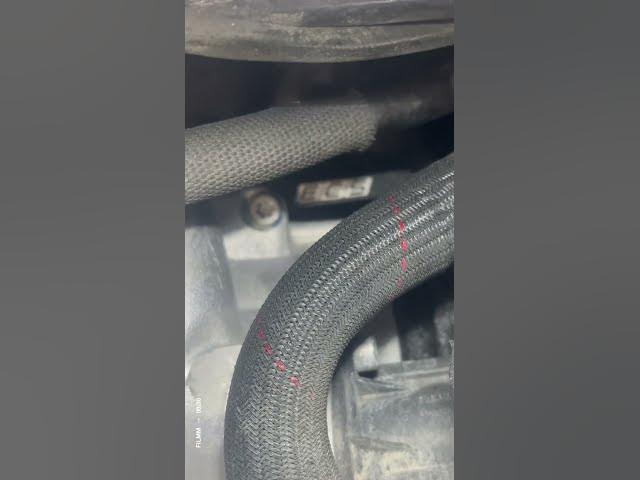 Video thumbnail for Subscribe for more!!! #shortsfeed #shorts #shortsviral #foryou we’re almost at 800 subscribers:)