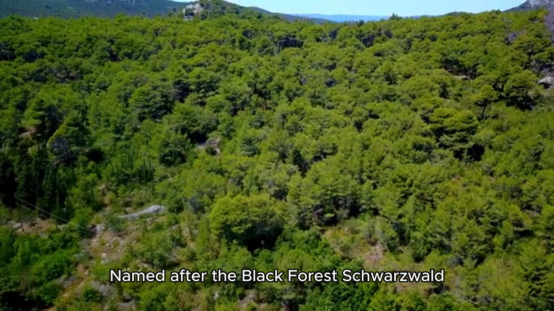 Video thumbnail for black forest cake