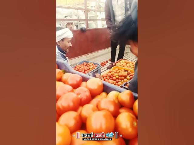 Video thumbnail for कवर्धा सब्जी मंडी #sabji #shortvideo #tomato #indianfood