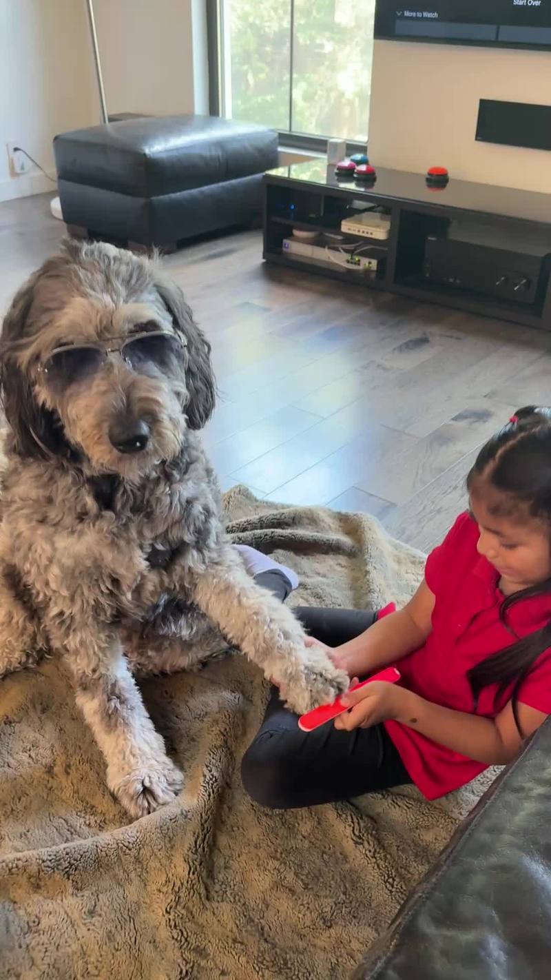 Video thumbnail for Stylish Dog Getting a Paw Manicure from Little Groomer