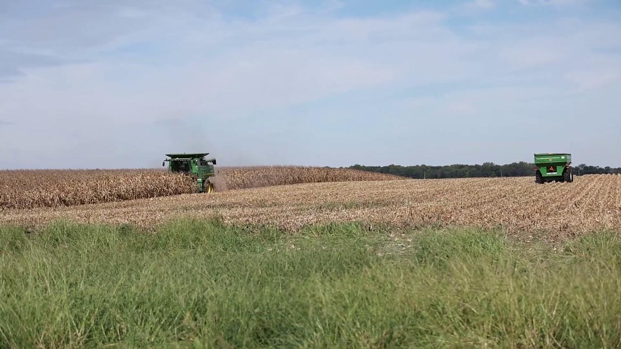 Video thumbnail for US: John Deere Combine Harvester and Grain Cart Working Corn Field in Rural McLean County, Illinois.