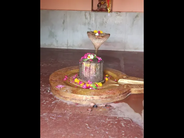 Video thumbnail for शिवलिंग पर इन चीजों को चढ़ाने से मिलते है ये फल | Shivratri Special #bholenath #mahadevstatus