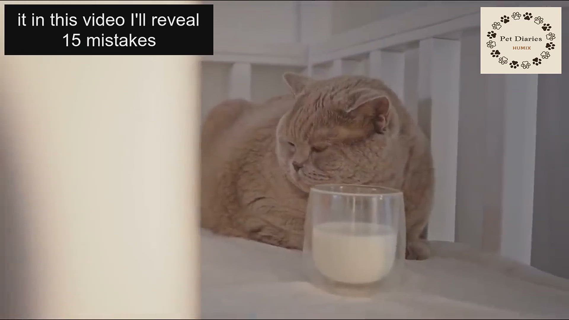 'Video thumbnail for Common Mistakes Making Cat Unhappy'