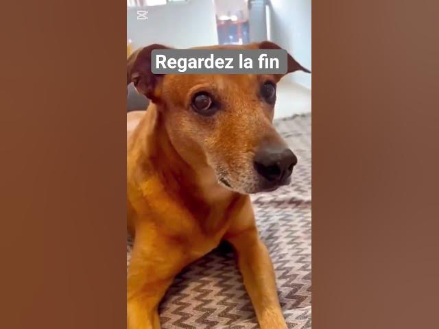 Video thumbnail for 22 août 2025