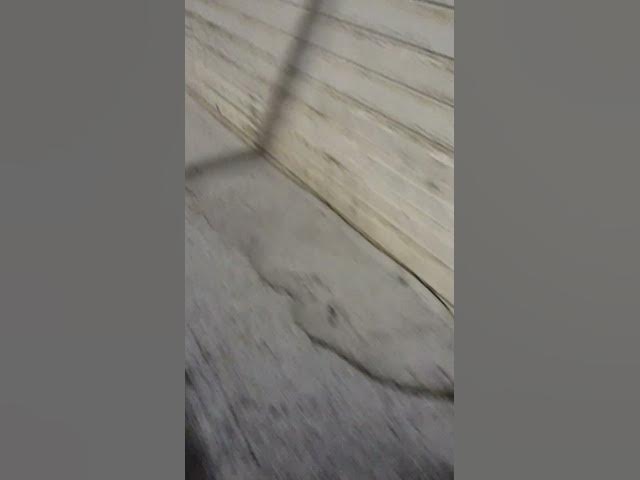 Video thumbnail for Winnipeg Winter (4 - 14 - 2025)