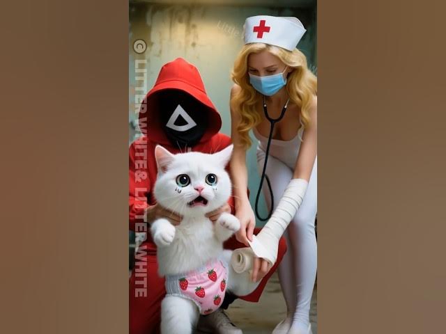 Video thumbnail for 🐕Why won't the dog accept the plaster cast? #funny #cute#animals #animation #dalgona #puppy#shorts