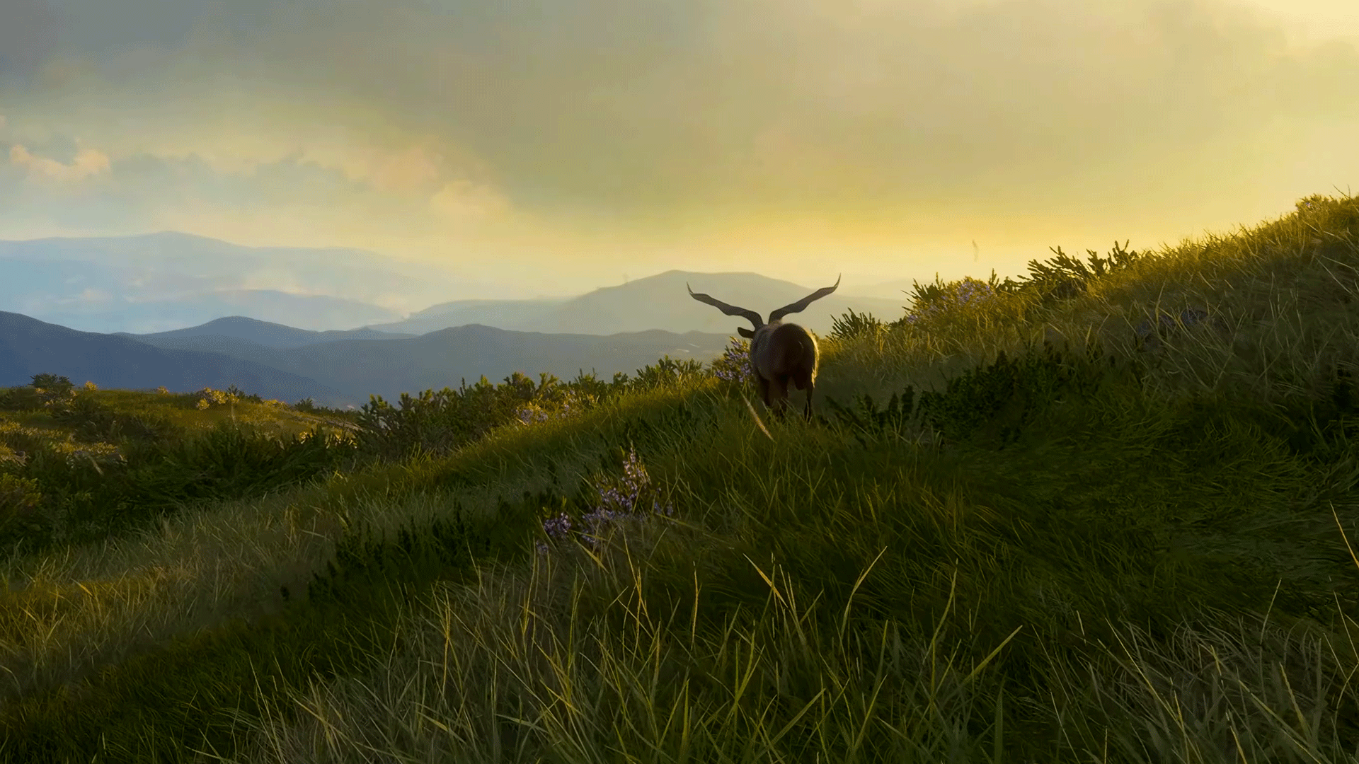 Video thumbnail for theHunter: Call of the Wild - Official ‘Scotland Hunting Reserve’ Announcement Trailer