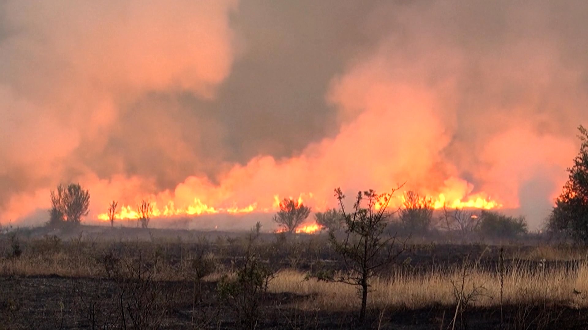 Video thumbnail for Serbia requests international assistance to battle wildfires