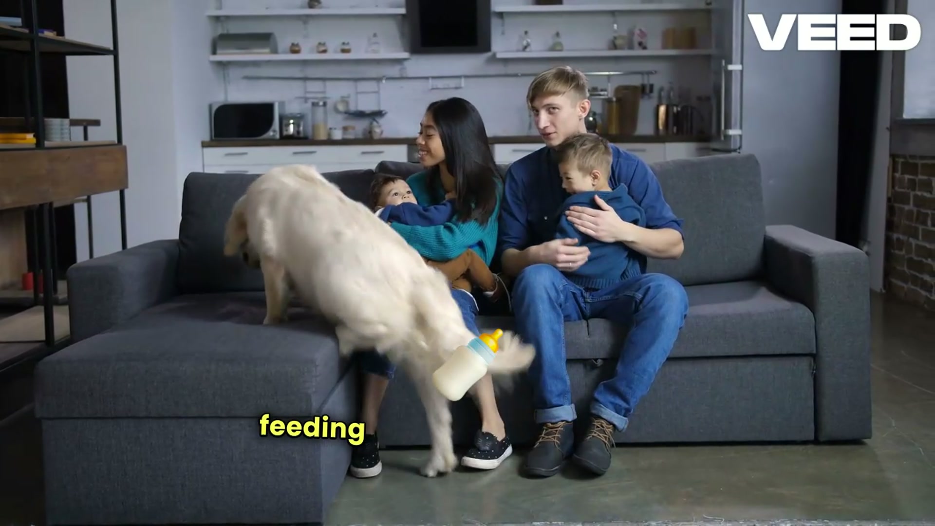 'Video thumbnail for Benefits of Using a PetSafe Food Dispenser'