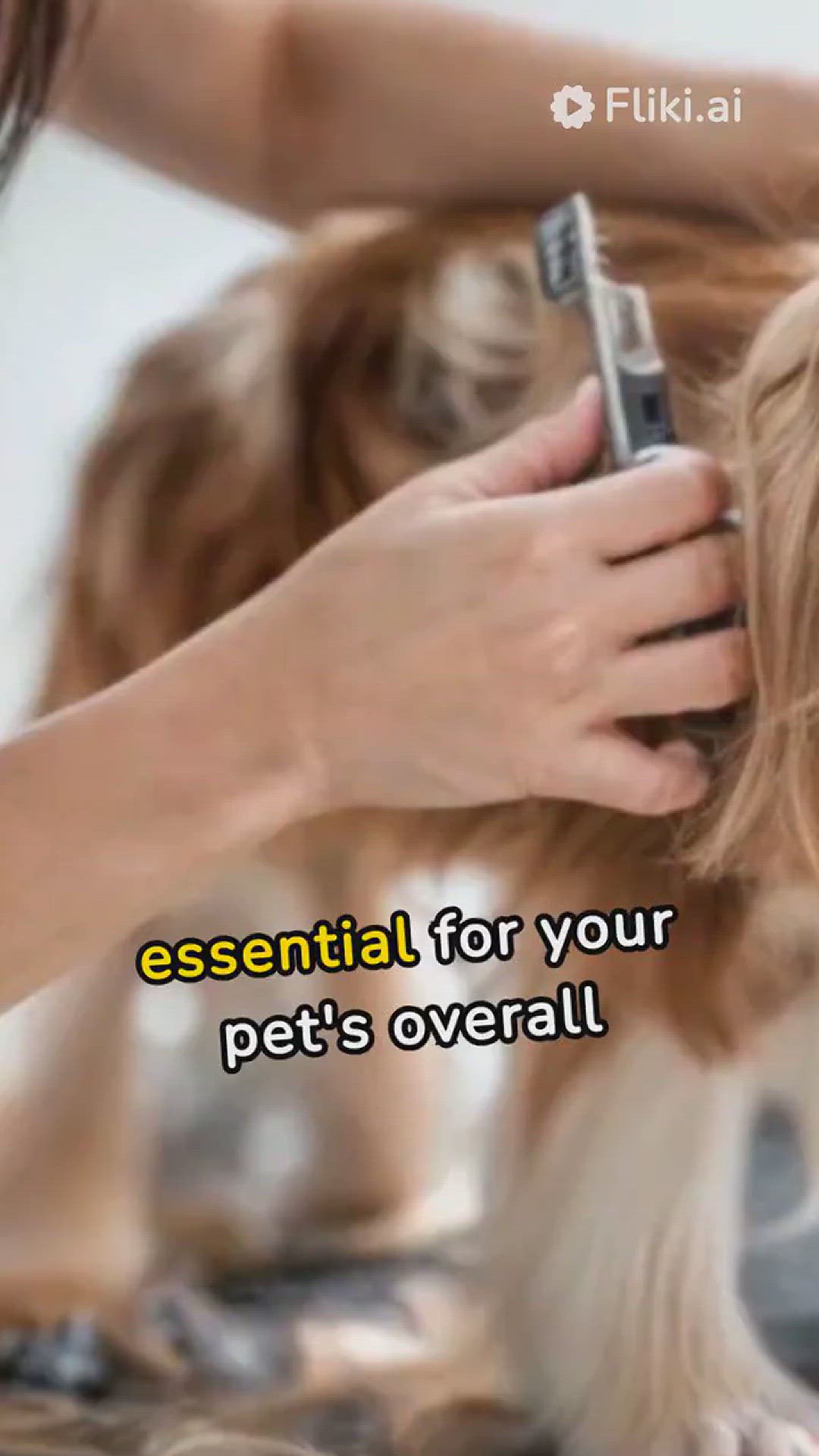 'Video thumbnail for Benefits of regular grooming for your dog'