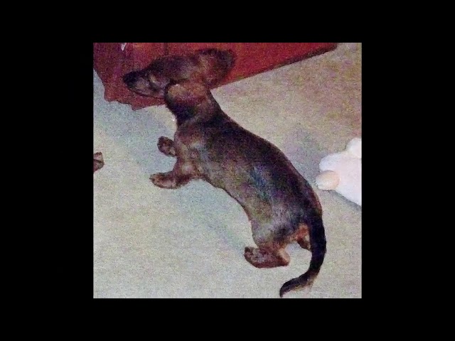 Video thumbnail for My+Movie