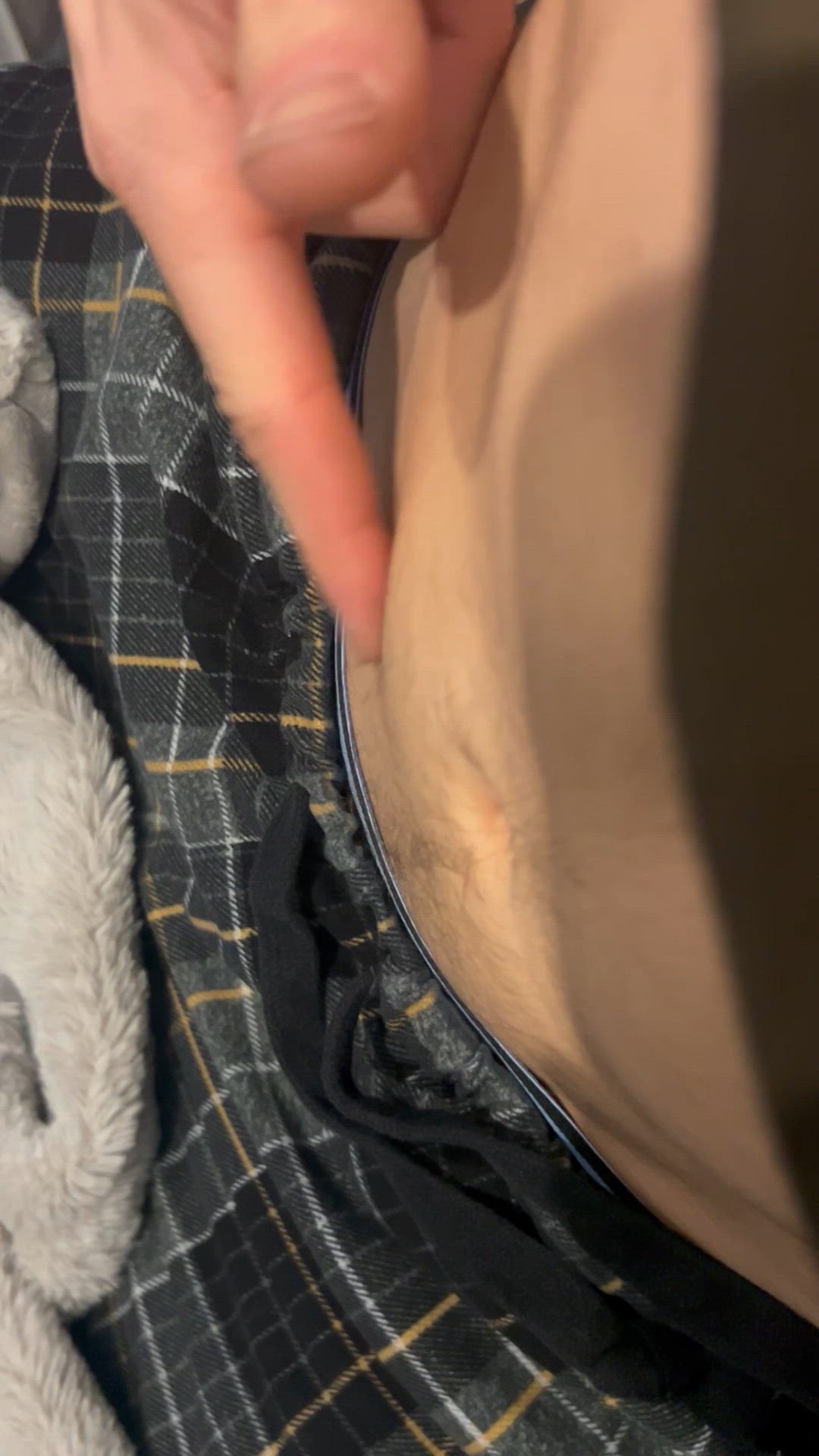 Video thumbnail for IMG 6753