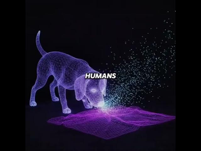 Video thumbnail for Psychology says dogs and cats can actually sense human sadness,