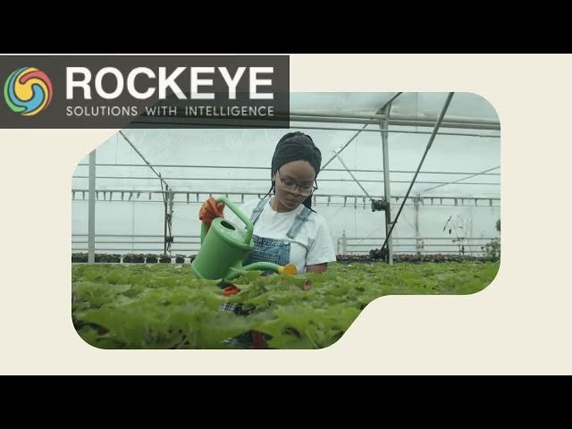 'Video thumbnail for RockEye Transforming Businesses with Cloud-Based ERP'