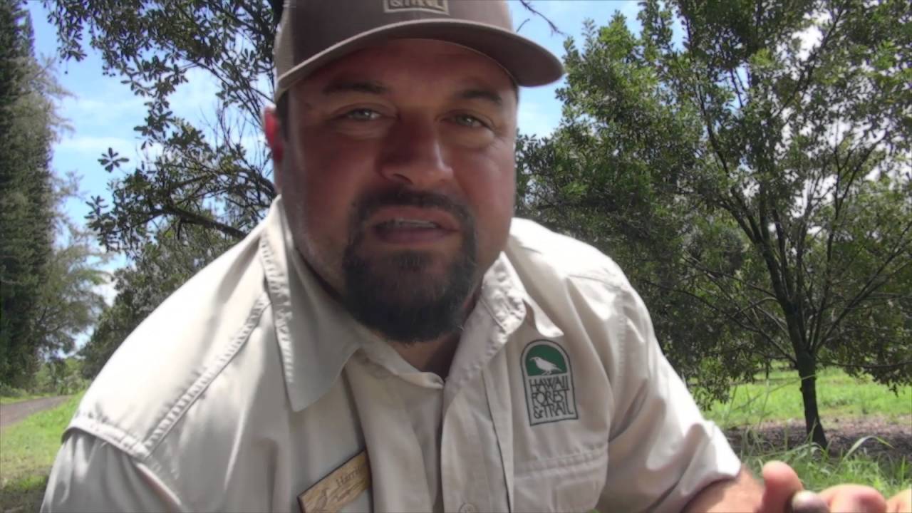 Video thumbnail for American Travelers experience Forest & Trail Tours on the Big Island of Hawaii