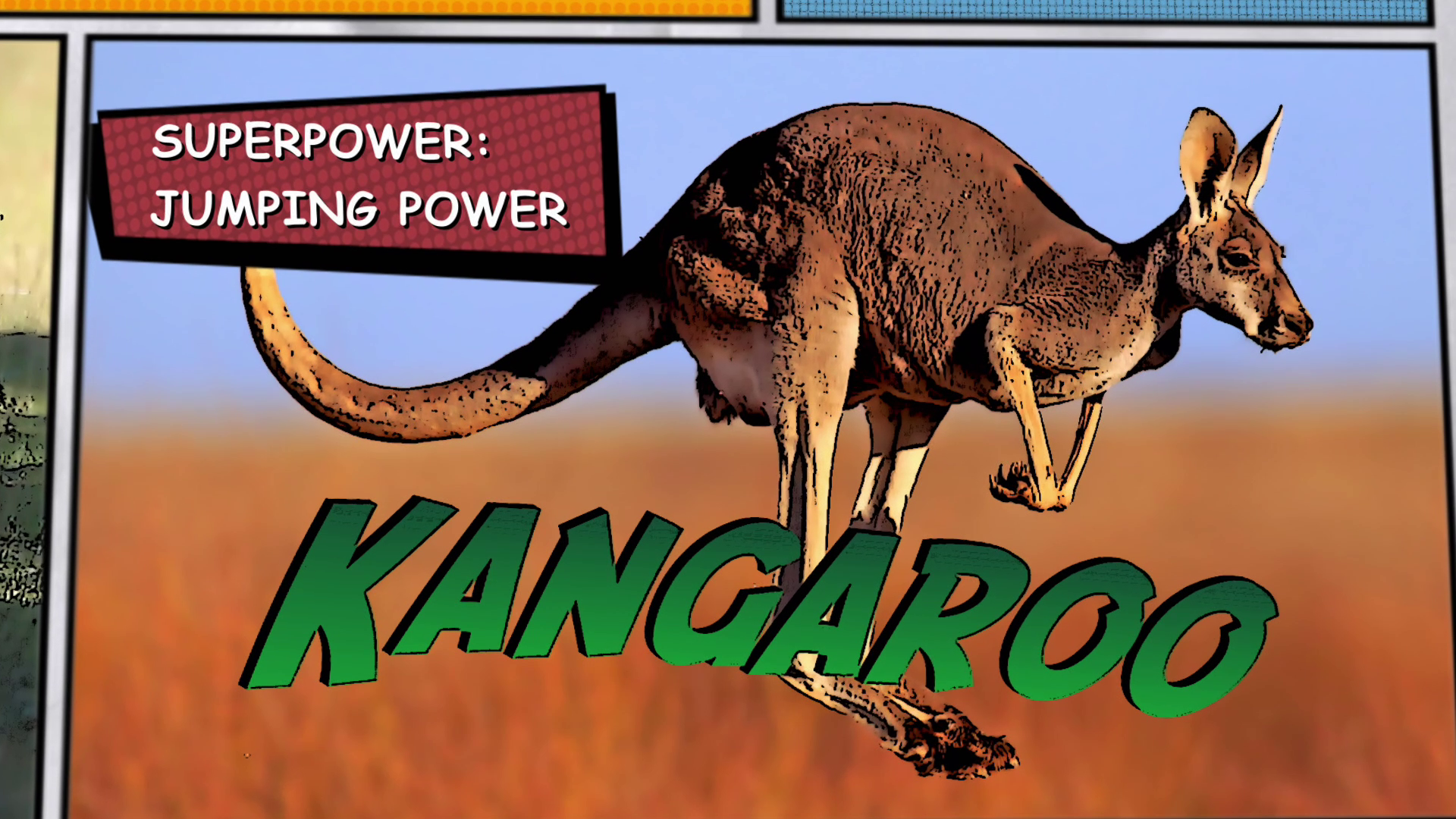 Video thumbnail for Super Animals -- Kangaroo