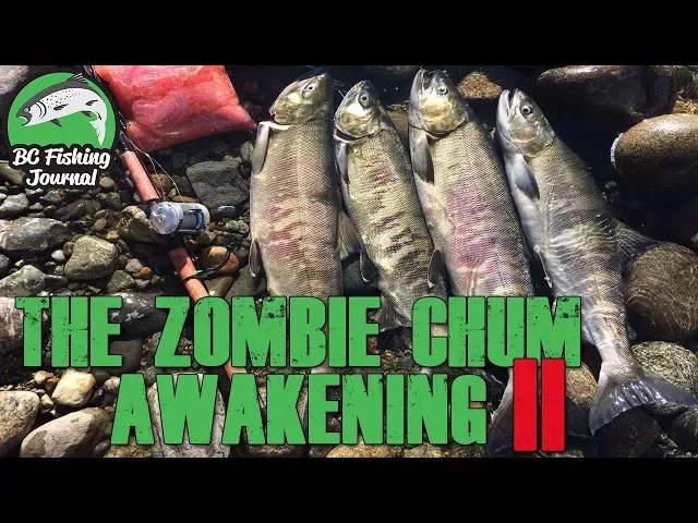 Video thumbnail for The Zombie Chum Awakening 2 - Chum Salmon Fishing