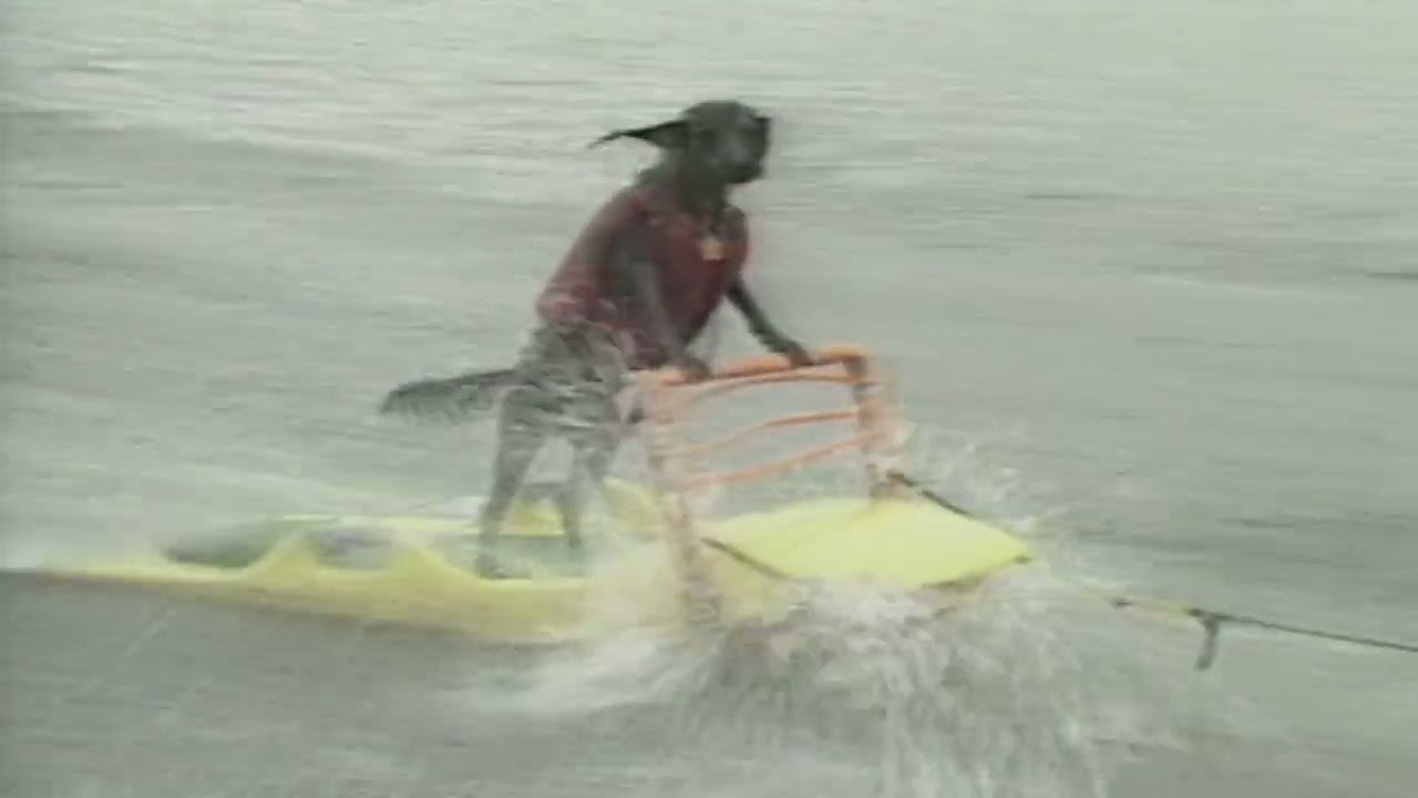 Video thumbnail for Bob Uecker introduces Animal Legends for Episode 11 of The Wacky World of Sports