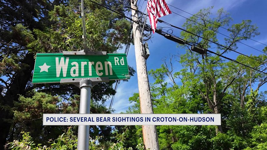 Video thumbnail for Black bear spotted in Croton-on-Hudson