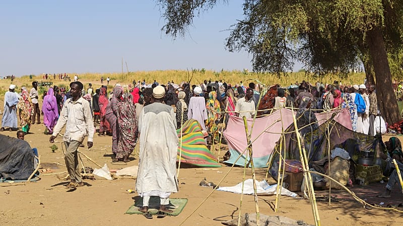 'Video thumbnail for Women displaced from al-Fashir in Sudan describe harrowing experiences'