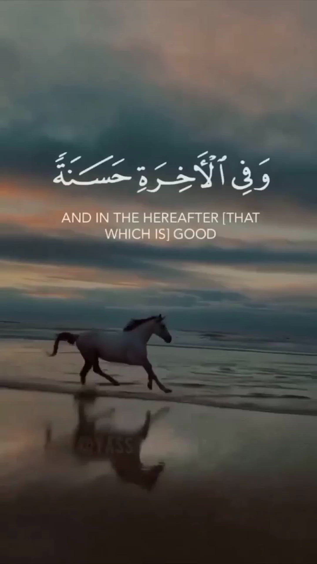 Video thumbnail for pinterestdownloader.com-1704199115.849856