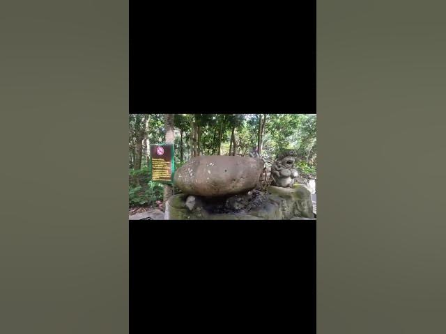 Video thumbnail for 🌳 Dense Forest Interior — Ancient Trees & Wild Macaques, Ubud