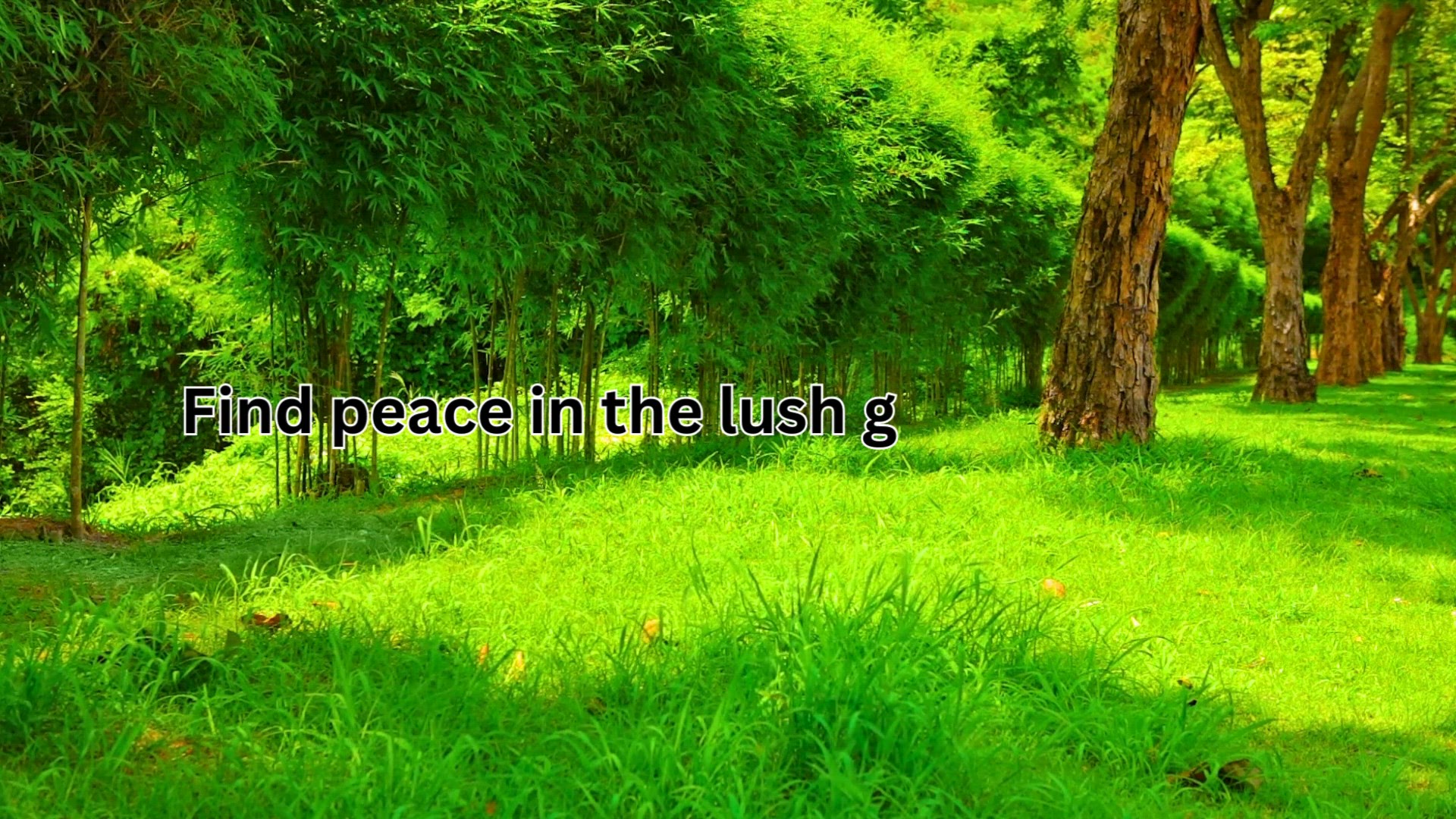 'Video thumbnail for Unlock the Ultimate Collection of Green Envy Instagram Captions to Perfectly Complement Your Style, Celebrate Nature’s Beauty, and Highlight Your Eco-Friendly Vibes with These Captivating and Unique Captions Crafted to Elevate Your Social Media Posts'