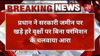 Video thumbnail for Hardoi News: प्रधान ने सरकारी जमीन पर खड़े हरे वृक्षों पर बिना परमिशन के चलवाया आरा