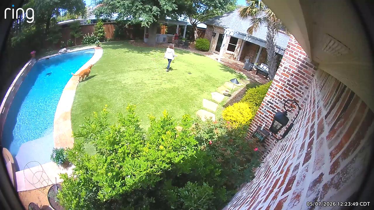 Video thumbnail for Dog Nudges Mom to Watch His Cannonball