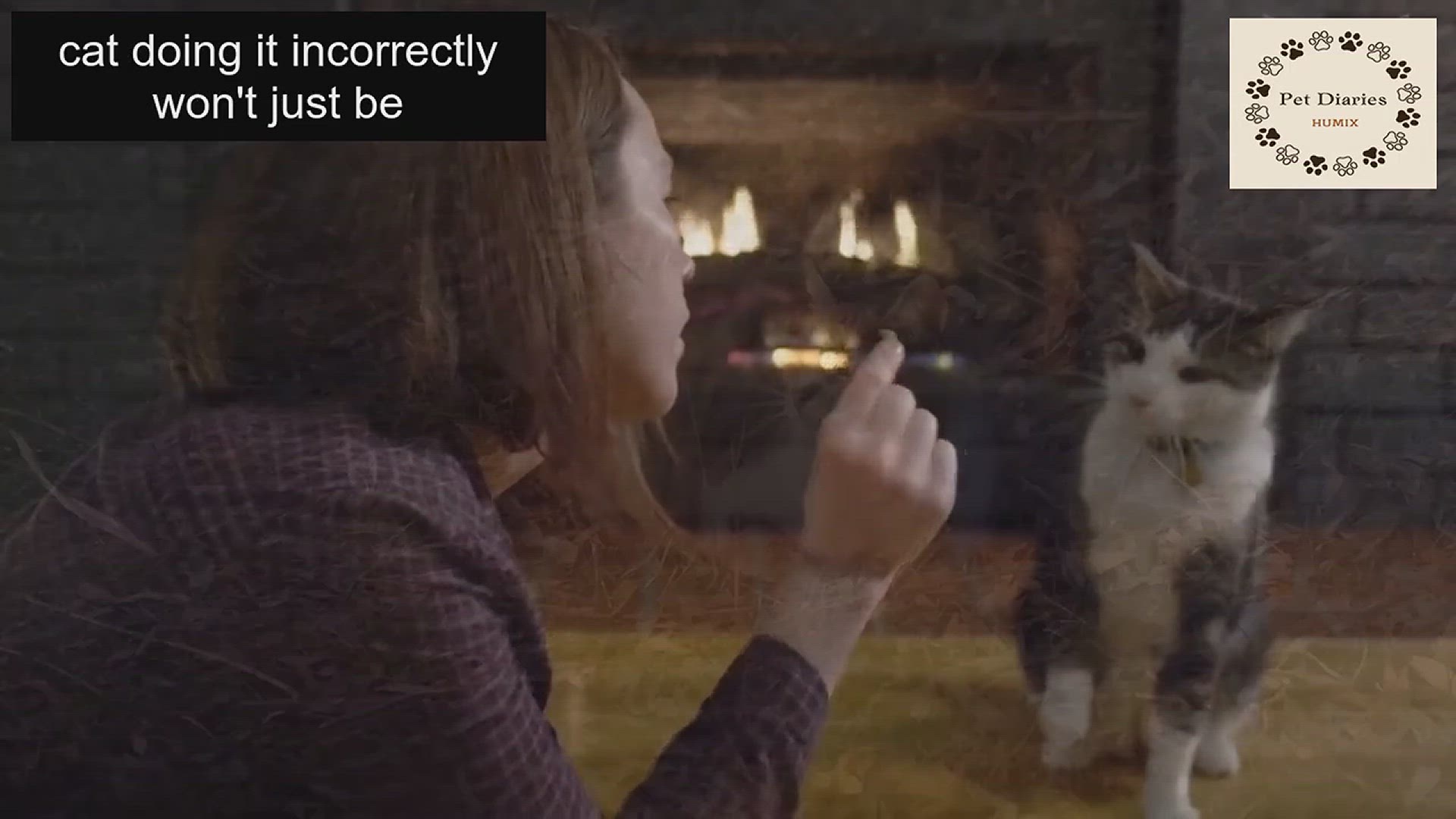 'Video thumbnail for The Best Way to Discipline Your Cat'