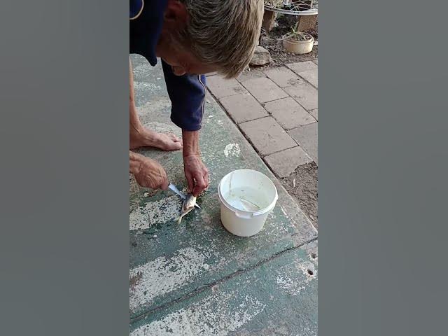 Video thumbnail for 27 October 2025