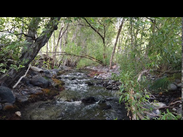 Video thumbnail for Beautiful Outdoors RV Trip 1