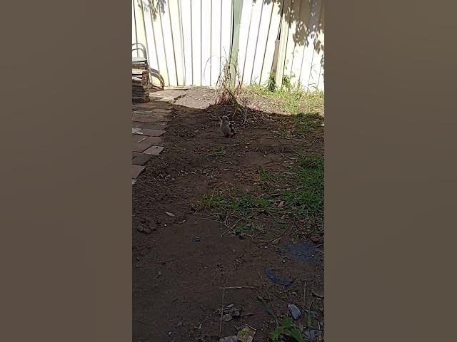 Video thumbnail for 27 October 2025