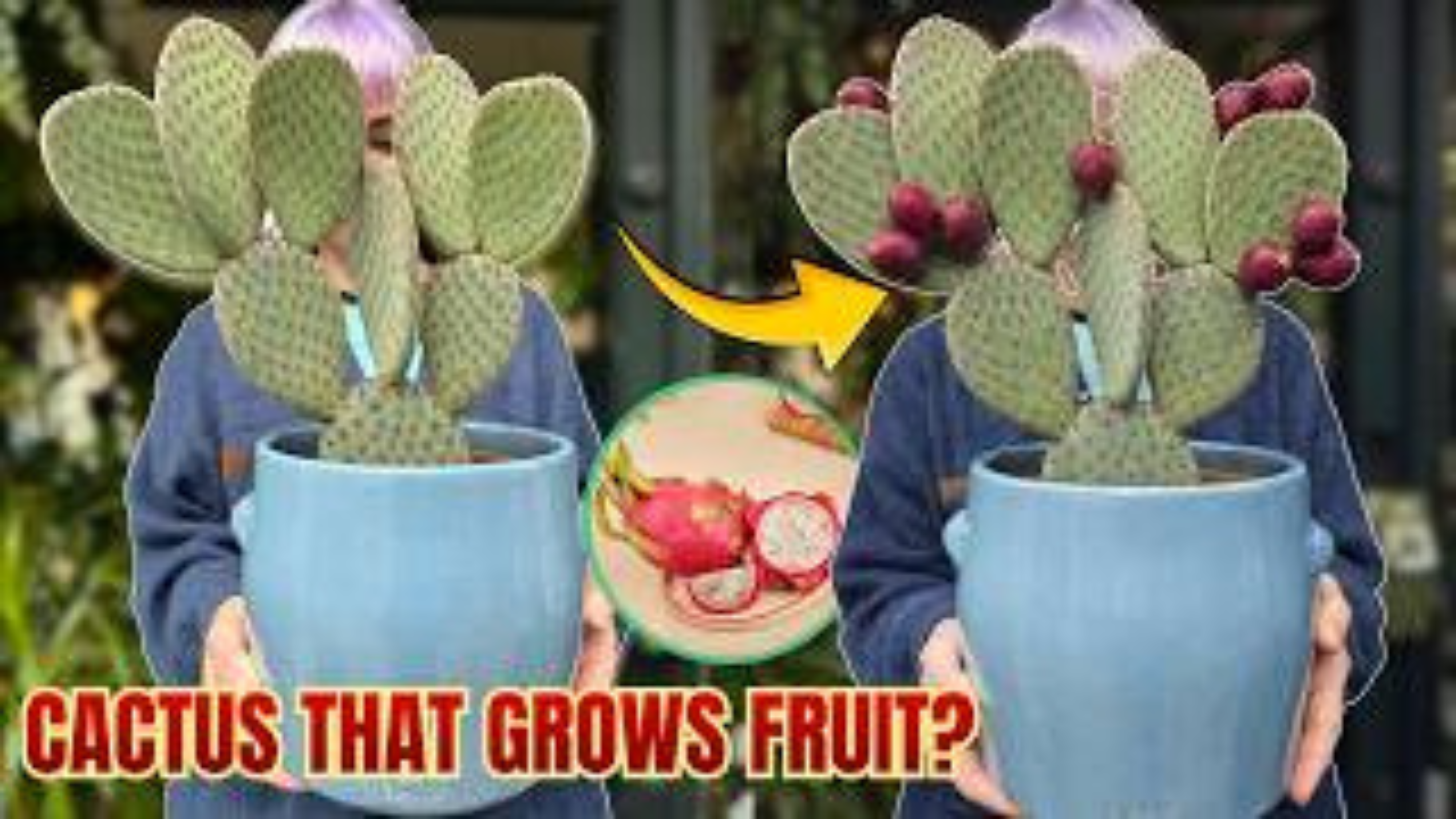 Video thumbnail for 4 Cactus Plants That Secretly Grow Edible Fruit (Most People Don’t Know)