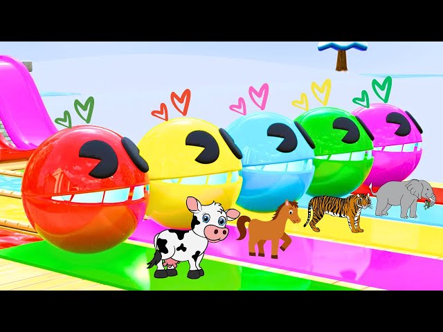 Video thumbnail for Long Slide Game With Cow Elephant Gorilla Hippopotamus Tiger - 3d Animal Game - Funny 3d Animals