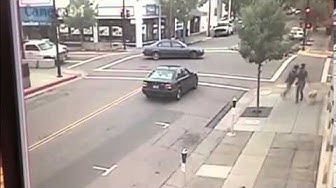 Video thumbnail for Cão salva dois treinadores de carro descontrolado