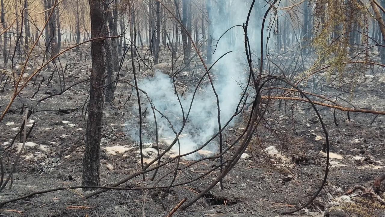 Video thumbnail for France: Massive wildfire burns 42,000 hectares in Gironde, southwestern France.