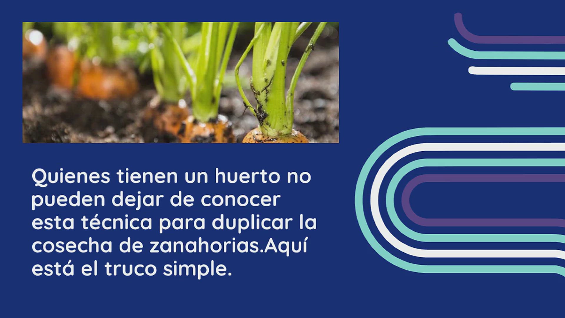 Video thumbnail for Duplica la cosecha de zanahorias con este ingenioso movimiento: siempre lo harás