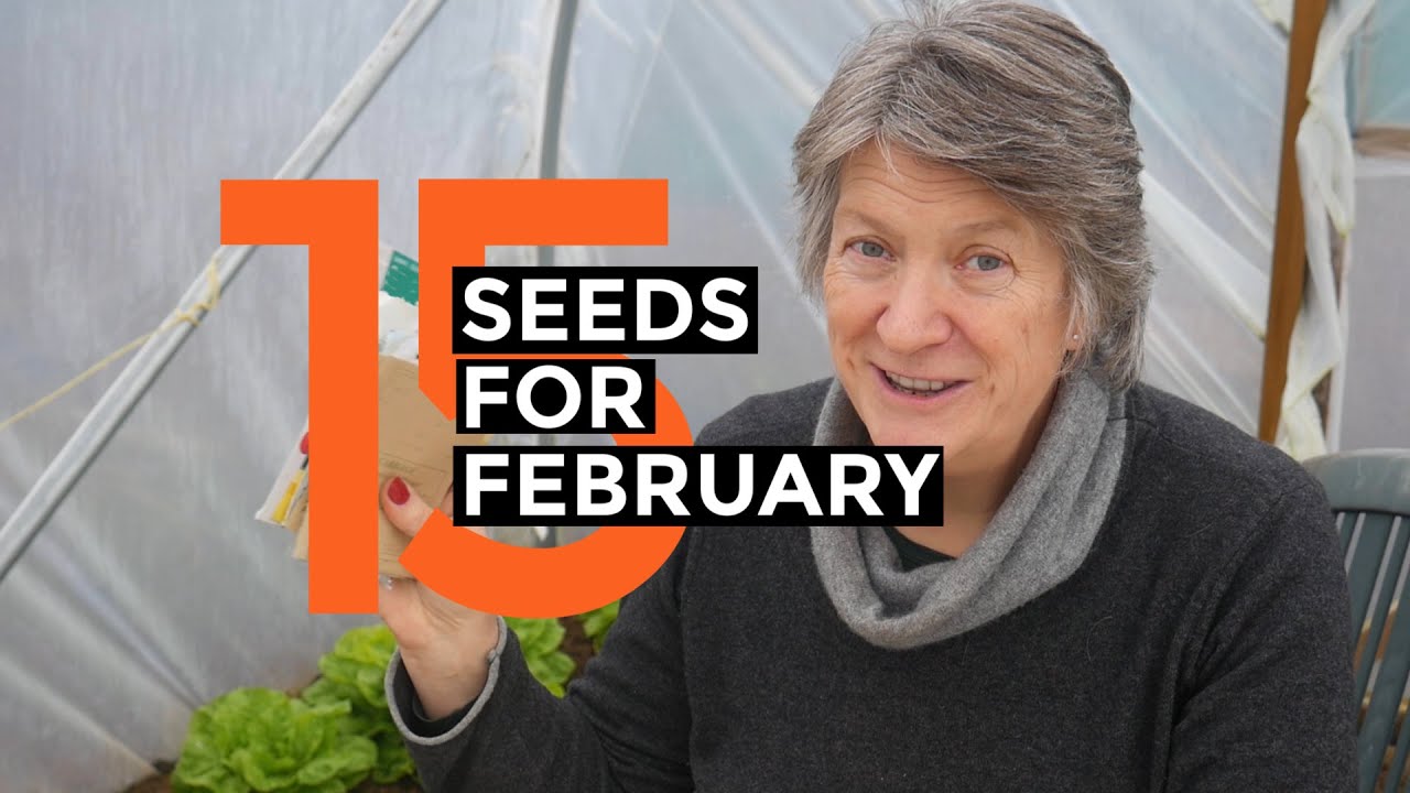 Video thumbnail for What To Sow In FEBRUARY | Easy to grow crops
