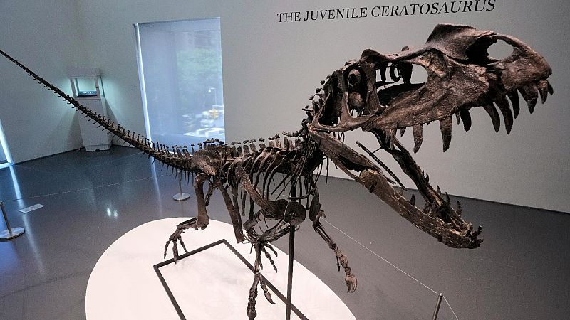 'Video thumbnail for Dinosaur skeleton and Martian meteorite to go under the hammer at Sotheby's 'Geek Week''