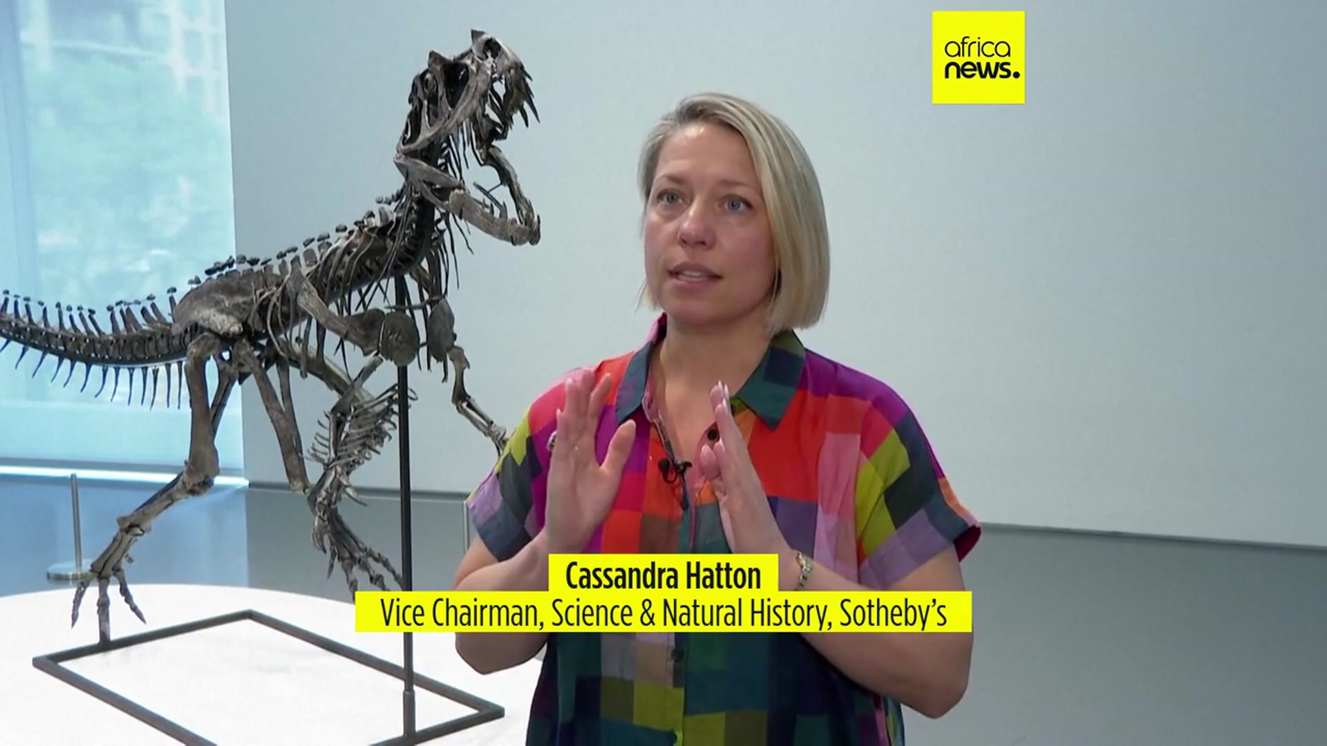 'Video thumbnail for Dinosaur skeleton and Martian meteorite to go under the hammer at Sotheby's 'Geek Week''