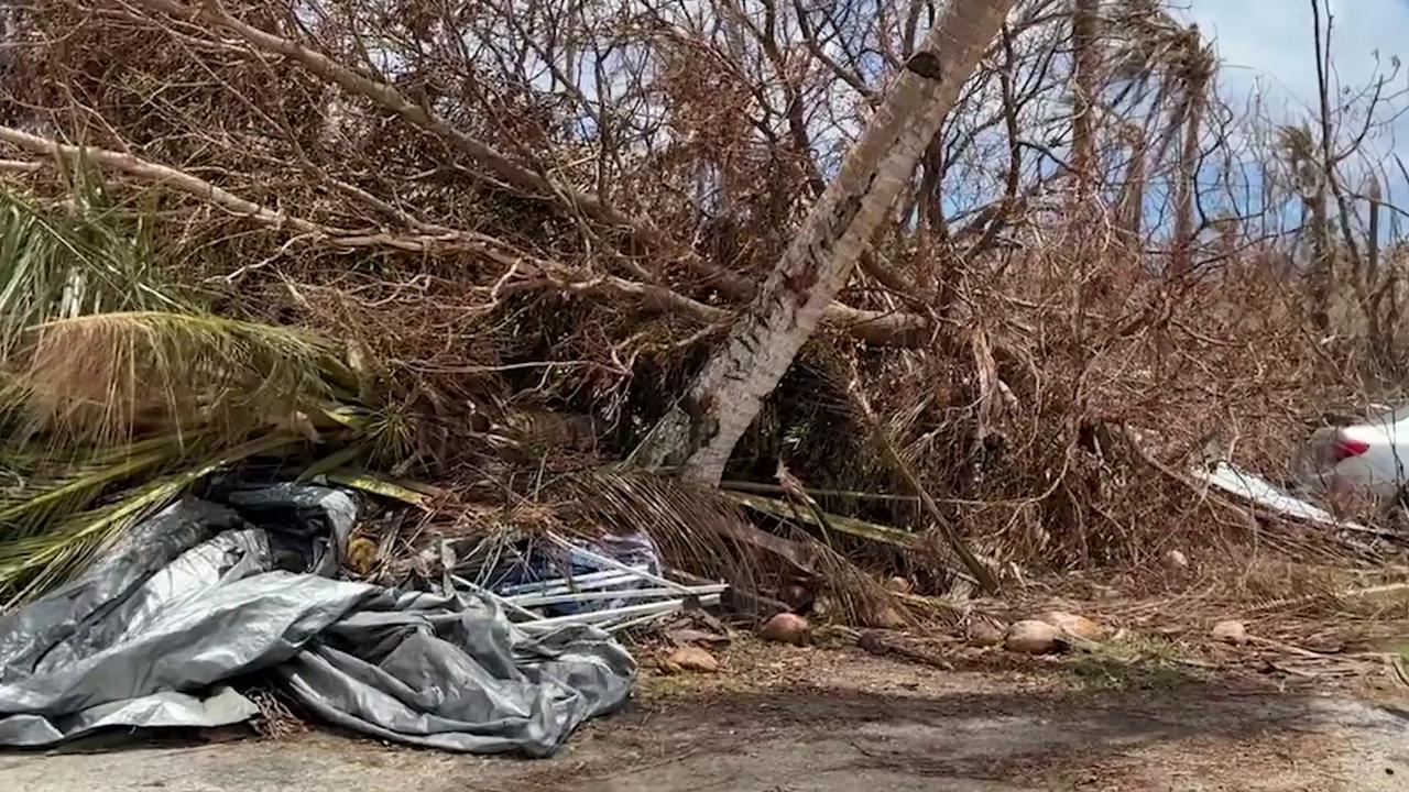 Video thumbnail for Northern Mariana Islands: Saipan Animals Fight For Survival After Super Typhoon Sinlaku Devastates Islands.