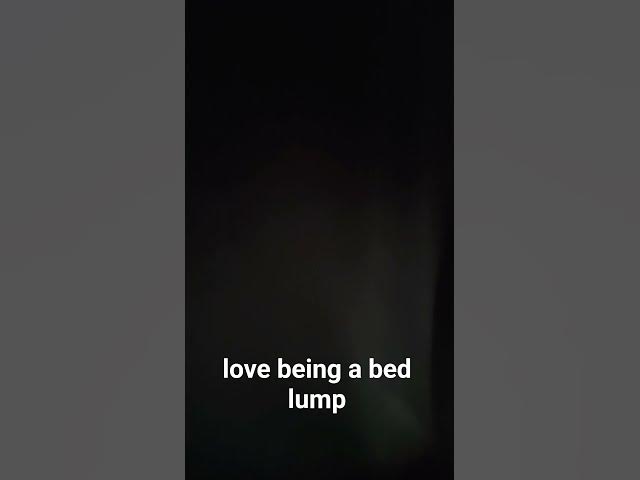 Video thumbnail for 24 December 2025