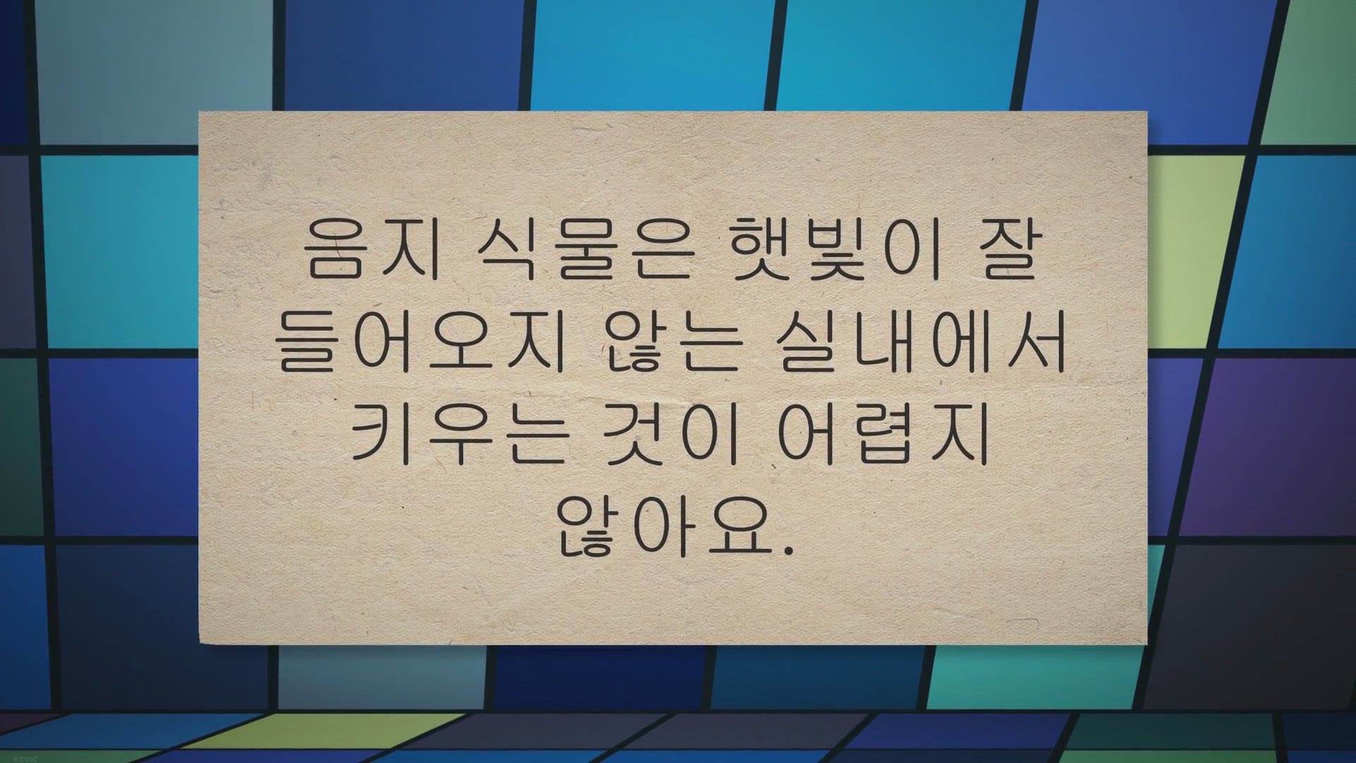 Video thumbnail for 음지 식물 종류 19가지, 햇빛 없는 집에서 키우기