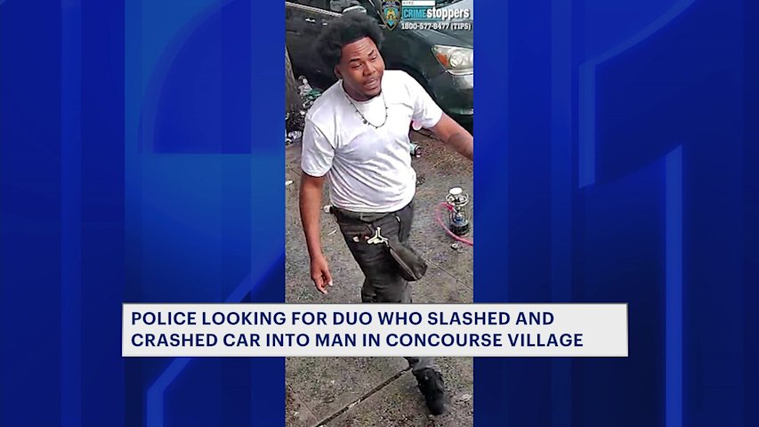 Video thumbnail for Duo on the run after slashing man, striking him with car in Concourse Village