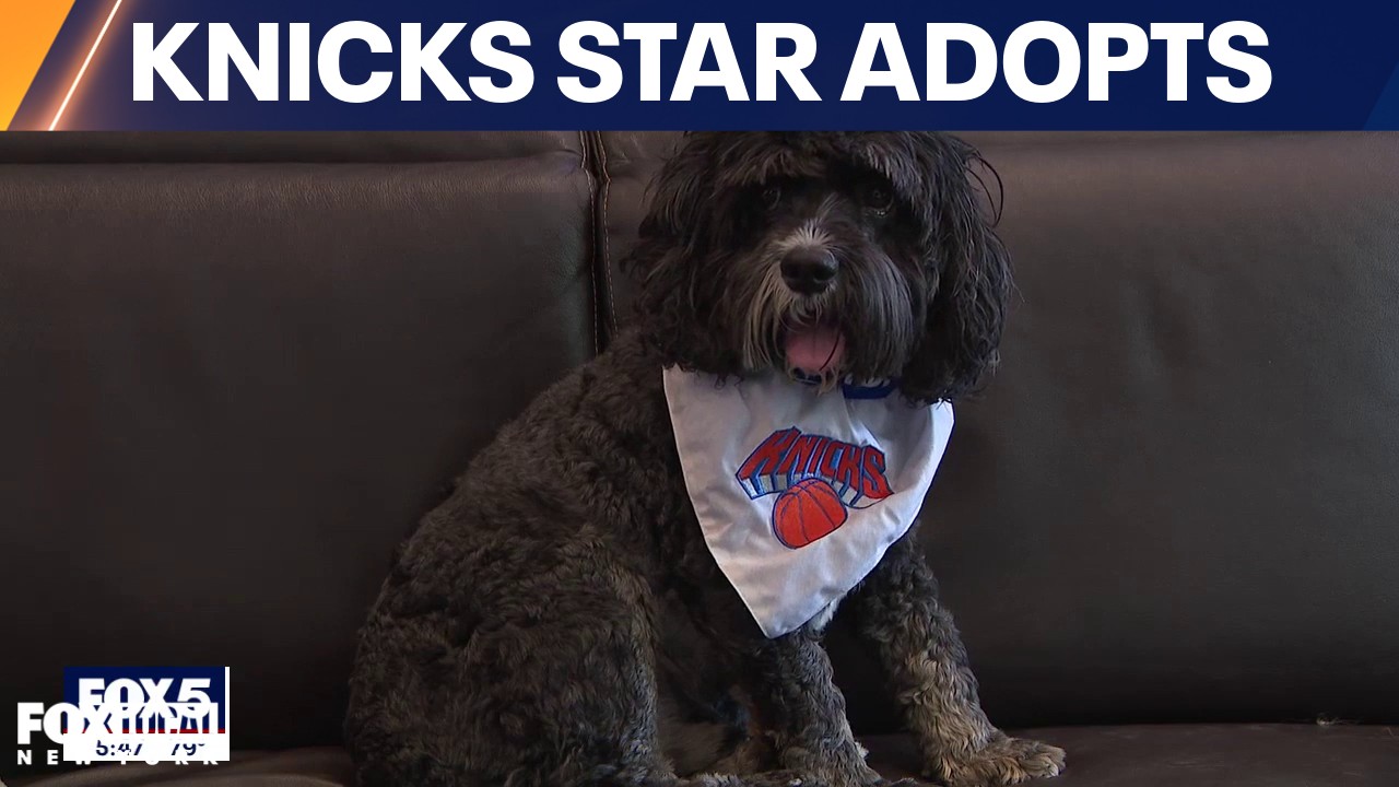 Video thumbnail for Jalen Brunson adopts dog from LI Knicks superfan