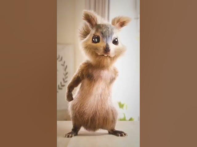 Video thumbnail for rabbit funny #funny #funnyvideo