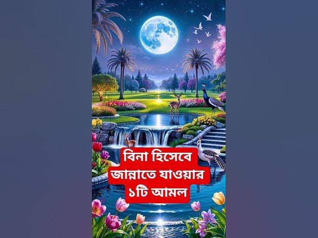 Video thumbnail for বিনা হিসেবে জান্নাতে যাওয়ার ১টি আমল#shorts #viral#sheikh_ahmadullah#islamicalortips